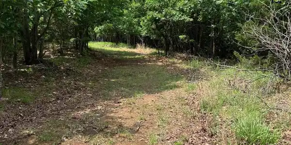 TBD Tract 4 Thompson Creek Lane