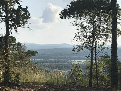 87 High Point Drive