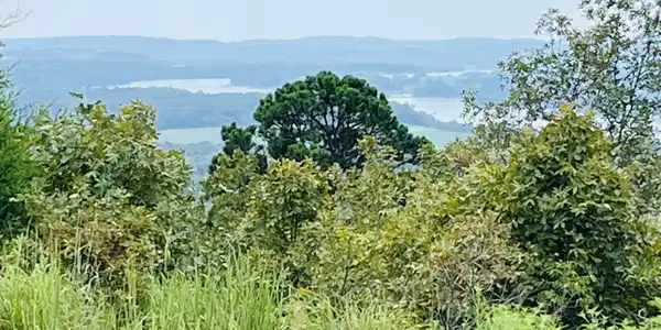 87 High Point Drive