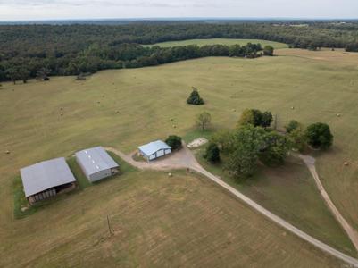 244 Denison Rd.