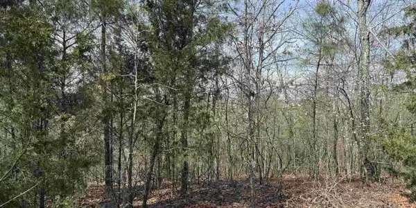 Lot 49 Mustang Drive