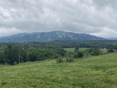 TBD. 62 acres Polk Road 85