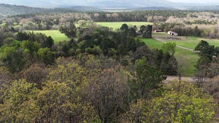 000 Hog Thief Valley