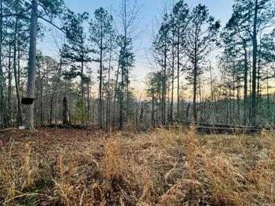 Tract 6 Ramblewood Trail