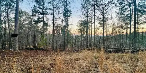 Tract 6 Ramblewood Trail