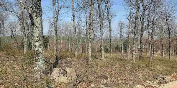 0 Harness RD