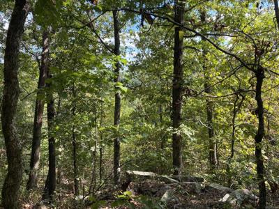 Lot 11 Cooper Point