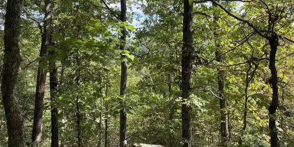 Lot 11 Cooper Point