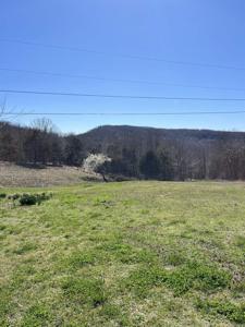 564 Rattlesnake Drive