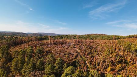 0000 Huddleston Springs Road