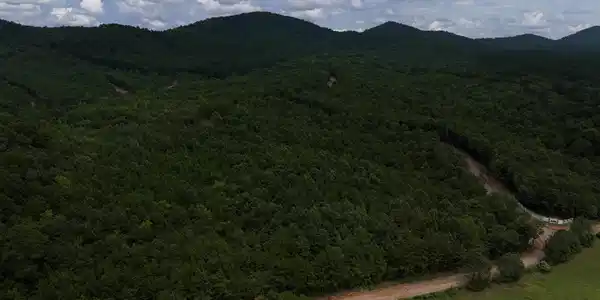 Lot 2 Polk Road 78