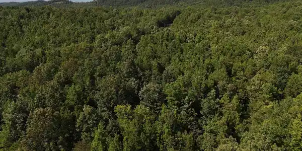 Lot 4 Polk Road 78