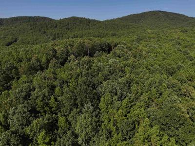 Lot 6 Polk Road 78
