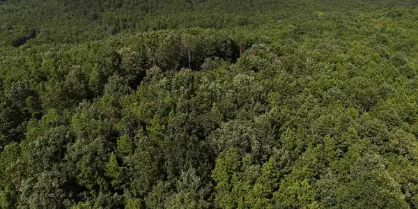 Lot 6 Polk Road 78
