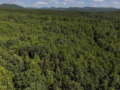 Lot 7 Polk Road 78