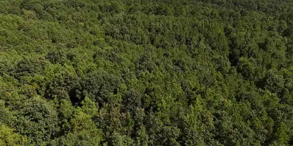 Lot 7 Polk Road 78