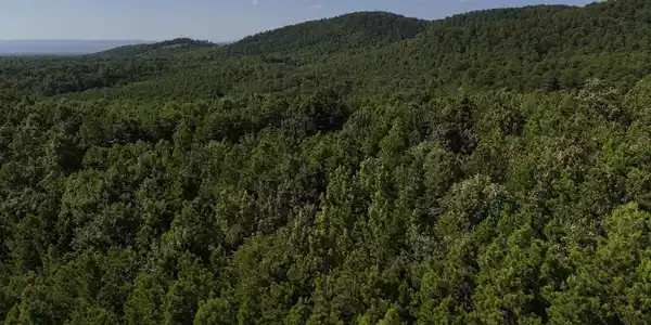 Lot 8 Polk Road 78
