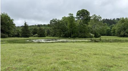 15 acres Liberty Road