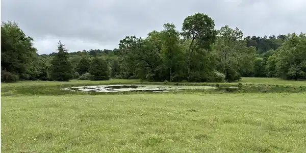 15 acres Liberty Road