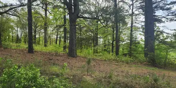 32 Red Oak Rd