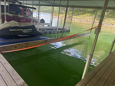 380 Lower Ridge Circle