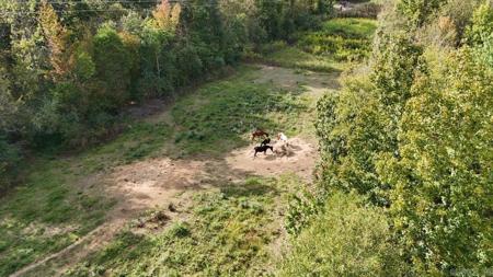 184 Peaceful Place Rd