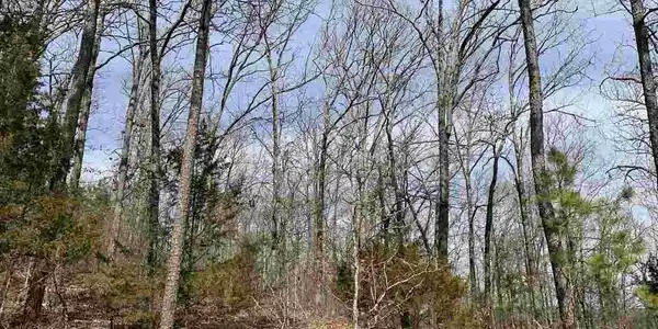 Lot 68 Lower Ridge Circle