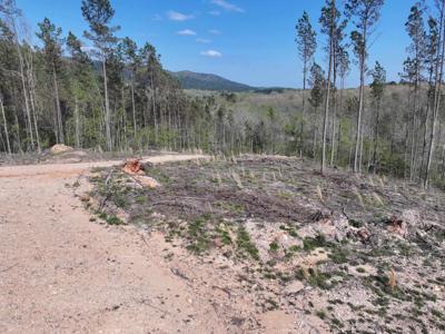 14 Palmer Mountain Rd
