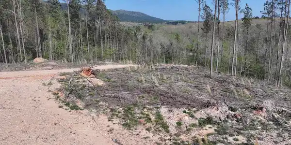 14 Palmer Mountain Rd