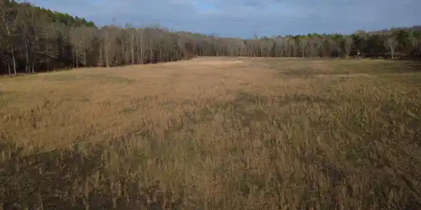 Little Gentry Loop
