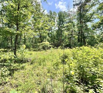 00 Meadow Creek Road