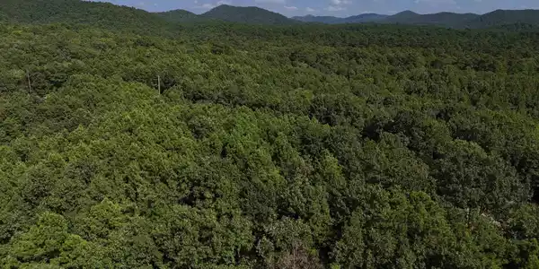 Lot 11 Polk Road 78