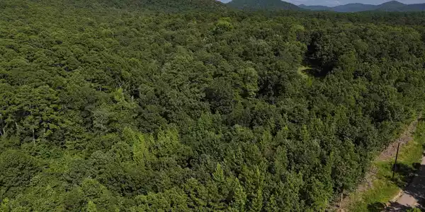 Lot 13 Polk Road 78