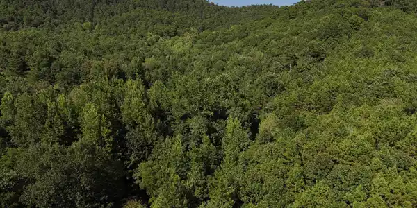 Lot 17 Polk Road 78
