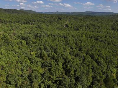 Lot 18 Polk Road 78