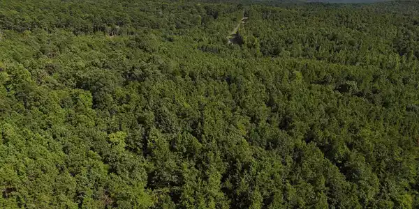 Lot 18 Polk Road 78