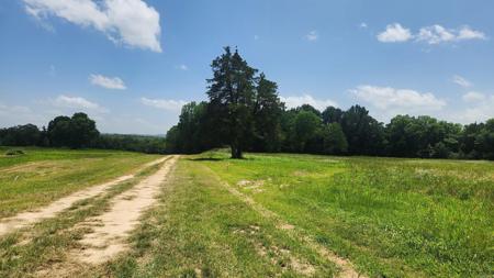 TBD (Tract 05) Whittington Homestead