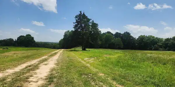 TBD (Tract 05) Whittington Homestead