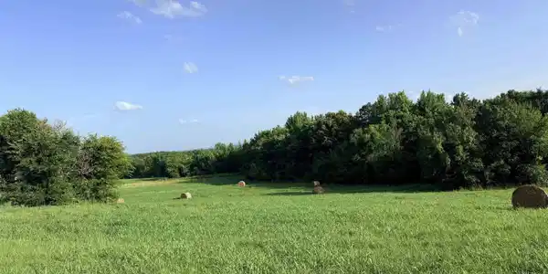 TBD Polk Rd 301