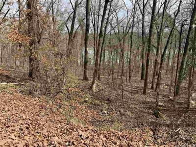 Lot 61 Lower Ridge Circle