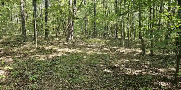 TBD NC 9025 Road