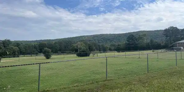 127 Mt Meadow