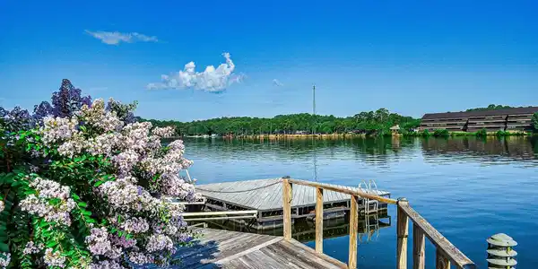 100 Bayou Point