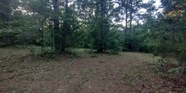 Tract 3 Alamo DR