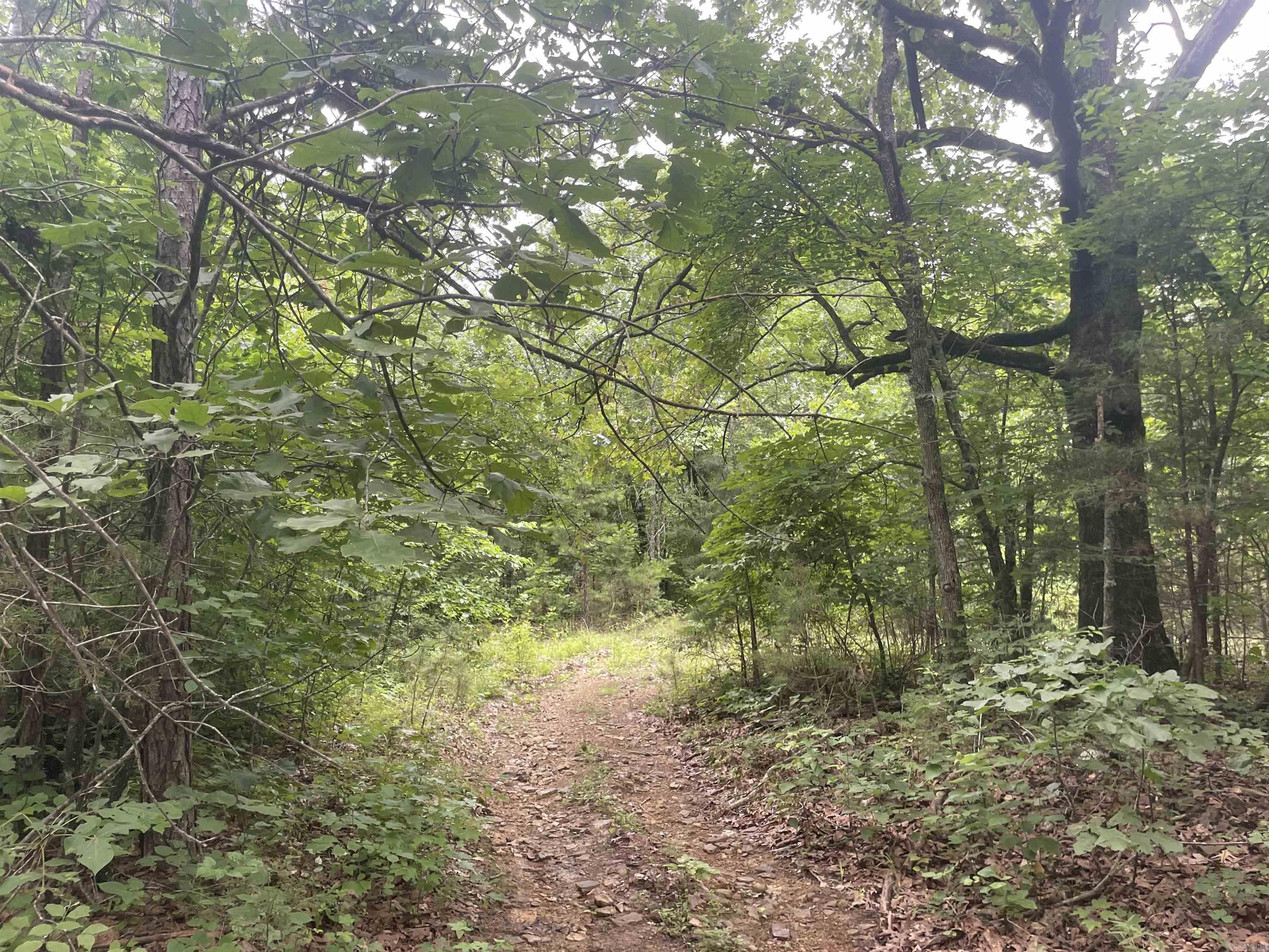Image 0: Pictured is trail along the 24.43 acre tract North