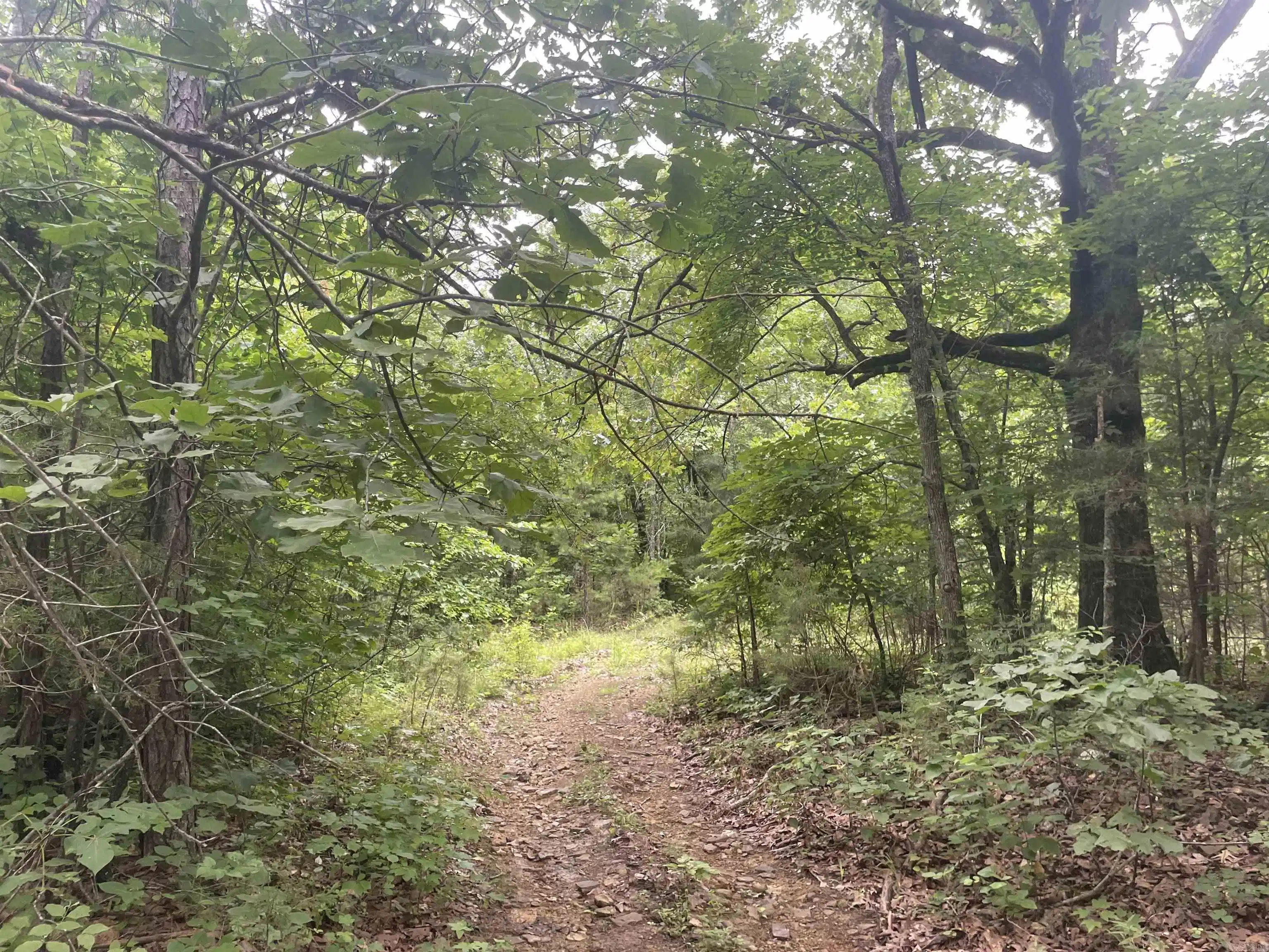 Image 0: Pictured is trail along the 24.43 acre tract North