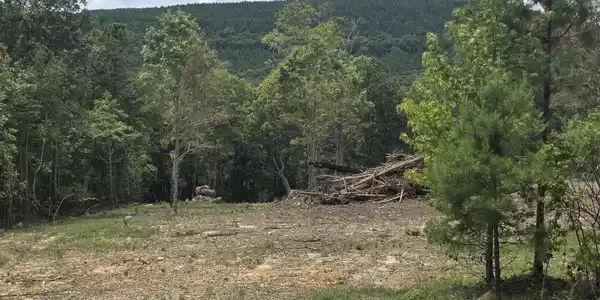 Lot 9 Scenic View