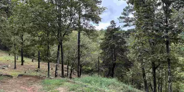 2352 Porter Rd.
