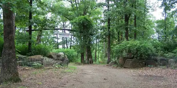 1307 Dodd Mtn. Rd.