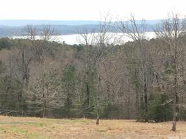 LOTS 2, 3 & 9 BUFFALO RIDGE Road